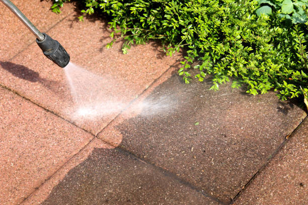 Professional  Pressure Washing in Magnolia, AR